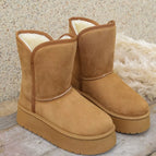 Camel / 36