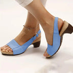 Light blue / 36