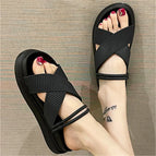 Black / 36