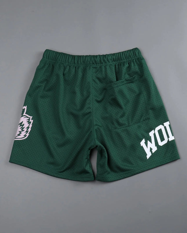 Men’s Quick-Dry Mesh Workout Gym Shorts – Breathable Performance Joggers