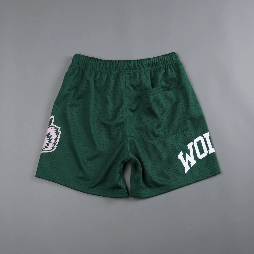 Men’s Quick-Dry Mesh Workout Gym Shorts – Breathable Performance Joggers-HighTouch