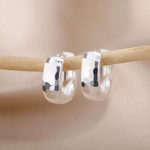 Gold Colour | Silver Stainless Steel Small Hoop Earrings-HighTouch