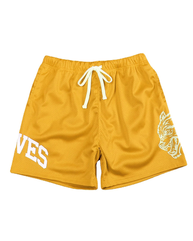 Men’s Quick-Dry Mesh Workout Gym Shorts – Breathable Performance Joggers