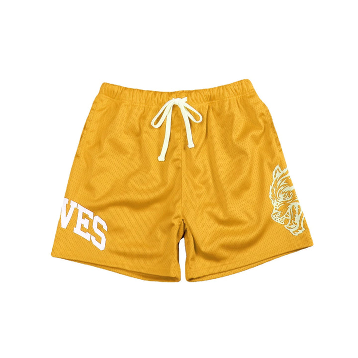 Men’s Quick-Dry Mesh Workout Gym Shorts – Breathable Performance Joggers-HighTouch