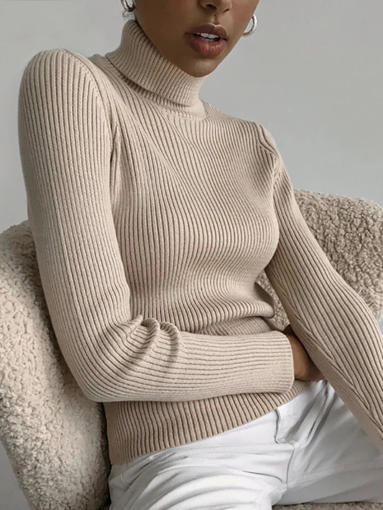 Women's Cashmere Turtleneck Sweater Soft Knit Autumn Winter Top-HighTouch