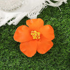 G / 10 cm length × 10 cm width
