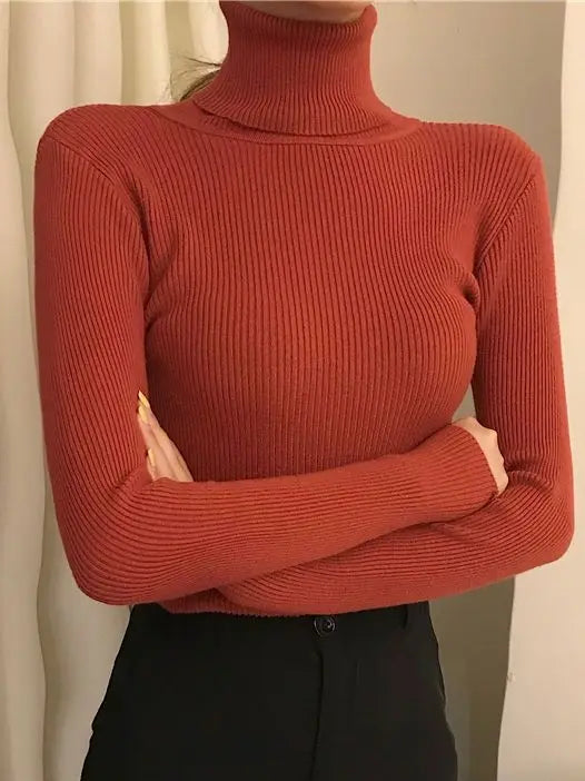 Women's Cashmere Turtleneck Sweater Soft Knit Autumn Winter Top-HighTouch