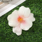4854B / 10 cm length × 10 cm width