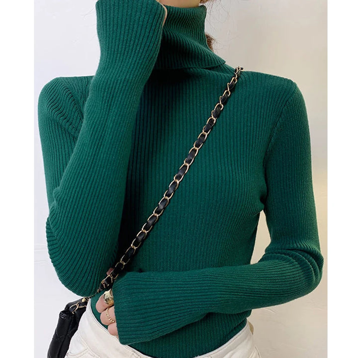 Women's Cashmere Turtleneck Sweater Soft Knit Autumn Winter Top-HighTouch
