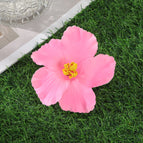 C / 10 cm length × 10 cm width