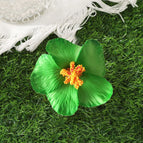 H / 10 cm length × 10 cm width