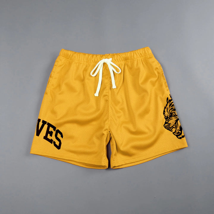 Men’s Quick-Dry Mesh Workout Gym Shorts – Breathable Performance Joggers-HighTouch