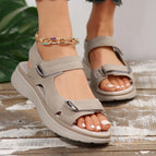 Grey / 37