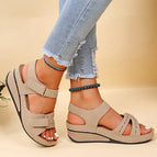 Beige / 35