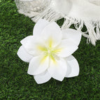 7665A / 10 cm length × 10 cm width