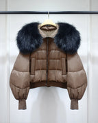 Brown 2