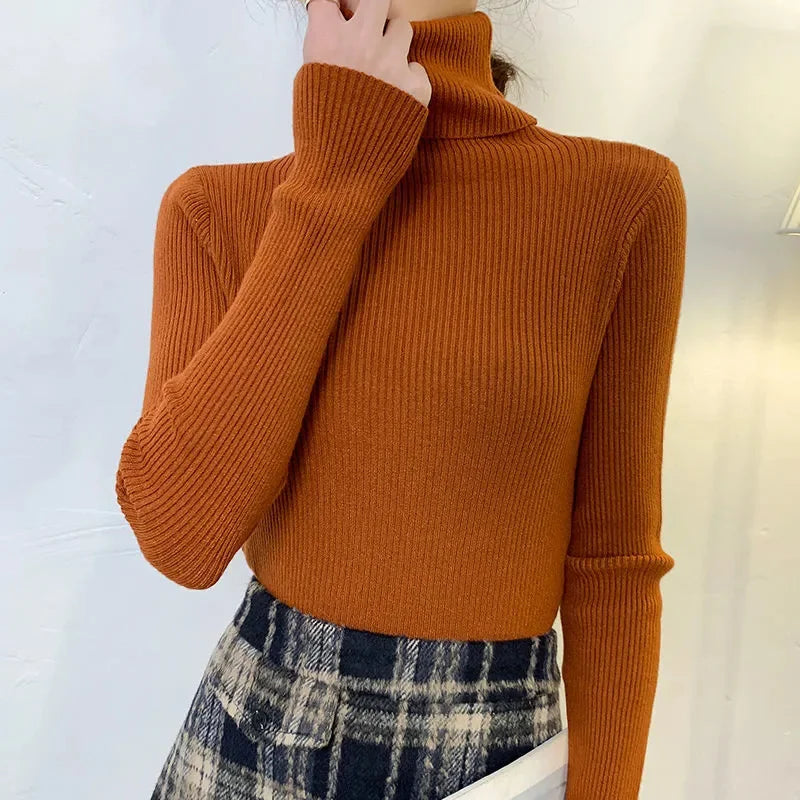 Women's Cashmere Turtleneck Sweater Soft Knit Autumn Winter Top-HighTouch