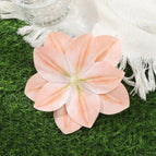 7665C / 10 cm length × 10 cm width