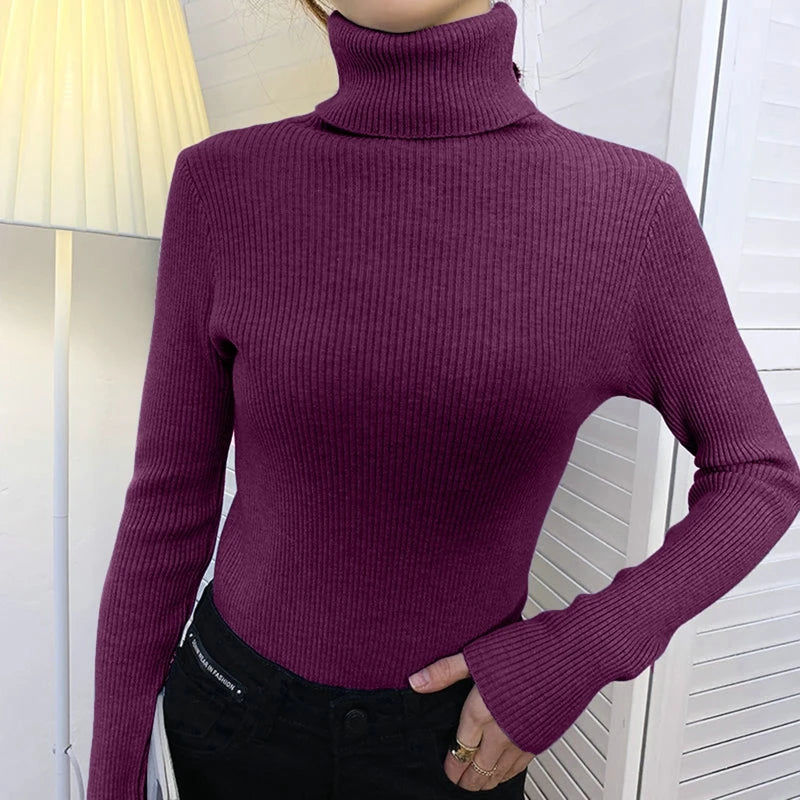 Women's Cashmere Turtleneck Sweater Soft Knit Autumn Winter Top-HighTouch