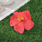 A / 10 cm length × 10 cm width