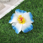 E / 10 cm length × 10 cm width