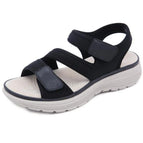 Black / 36