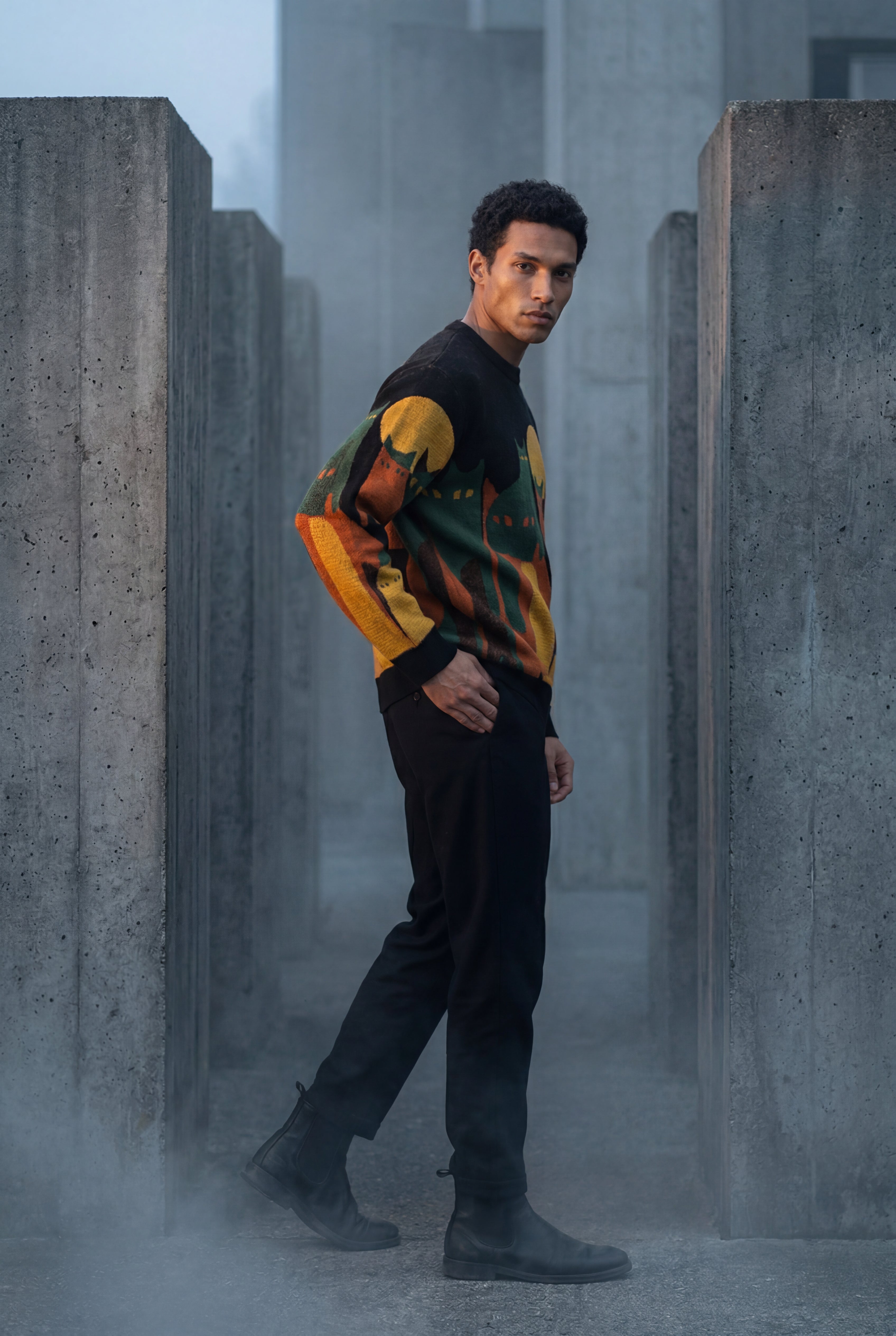 James Cat Sweater Sun Motif Limited