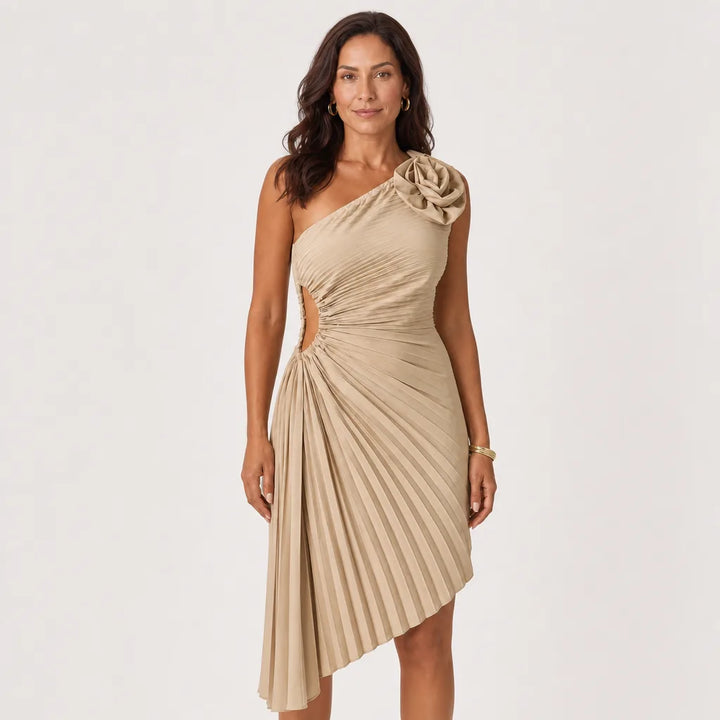 Womens Elegant Evening Prom & Cocktail Maxi Dress