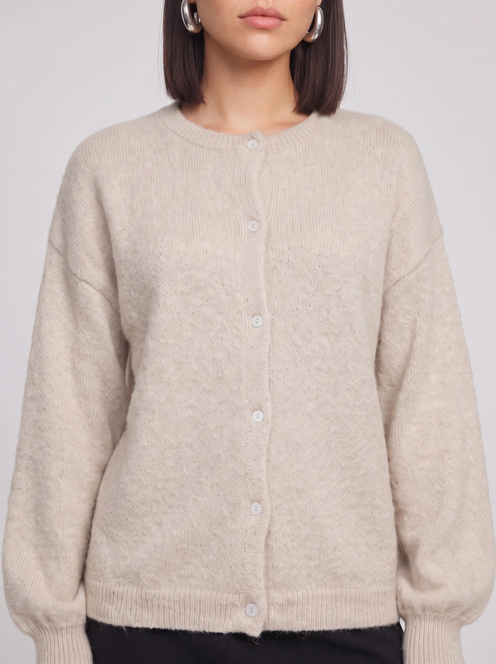 Cassini Crew Neck Button-Front Cardigan – Soft Knit Women Ribbed Lightweight Layering Classic Cardigan